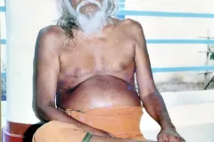 செல்லப்பா சுவாமிகள்