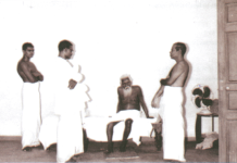 கௌரிபாலா